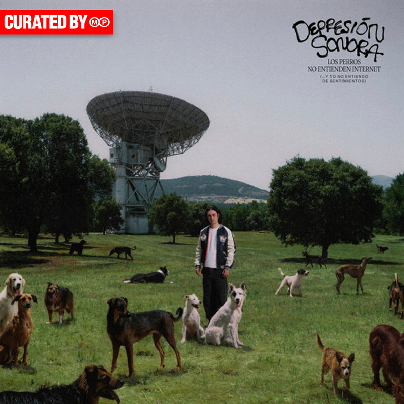 Los perros no entienden internet