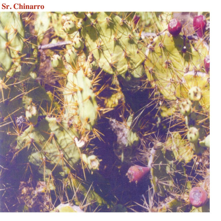 Sr Chinarro