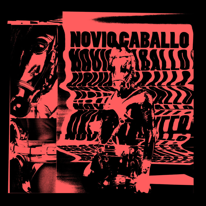 Novio Caballo
